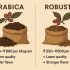 Understanding Coffee Pricing in India: From Farm to Cup